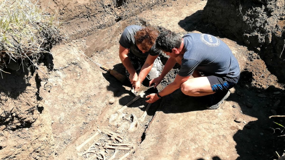Fig.4: Dezvelirea osemintelor dintr-un mormânt descoperit în Secțiunea 23, practicată în exteriorul cimitirului.